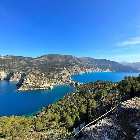 Assos Blue House